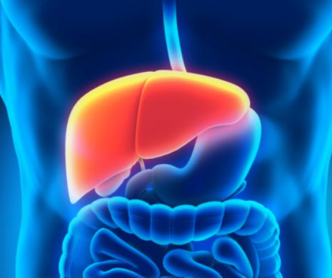 10 simptome care anunță cancerul de ficat