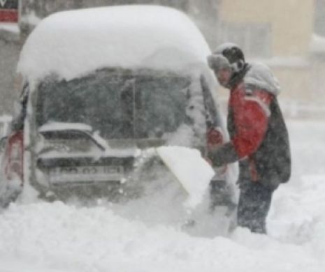 11 maşini, distruse de copaci în Capitală