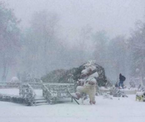 Bradul de Crăciun din Brăila, răpus de viscol