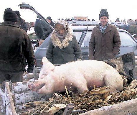 Ce trocuri se mai fac pentru o tochitură. Românii își dau televizorul sau scuterul pe un porc