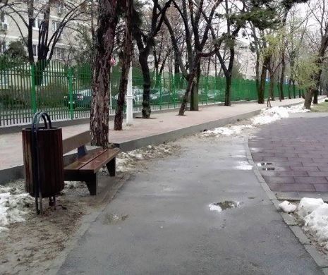 Cum betoneaza Robert Negoiță copacii și își bate joc de banii publici: toarnă alei peste aleile existente