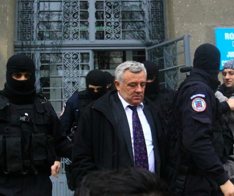 DEZBATERE. Bojin, eternul SUPRAVIEȚUITOR, lăsat de DNA să plece acasă. Cum credeți că și-a jucat ”cartea”?