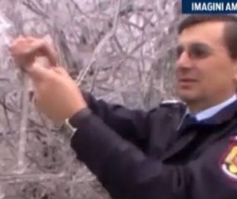 Efectele periculoase ale fenomenului "freezing rain". Padurea de gheață de lângă Zalau arată ca in legendele nordice