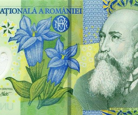 LEUL în PICAJ. Cel mai slab curs valutar din ultimele 11 LUNI