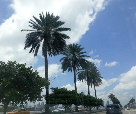 MIAMI: Se va recrea ceva MEMORABIL în 636 de videoclipuri de câte 15 secunde! | VIDEO