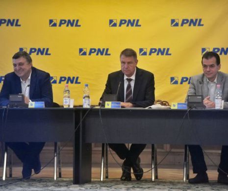 O săptămână până la depunerea jurământului. Prioritățile lui Klaus Iohannis
