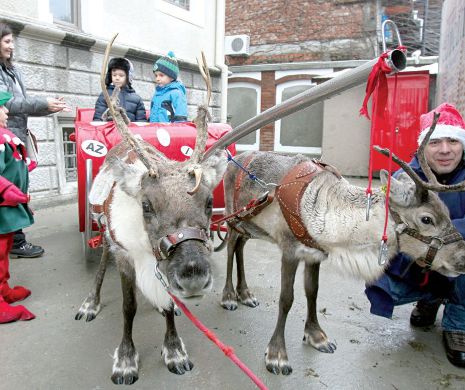 Renii au sosit înaintea Moșului la Școala „Step by Step”