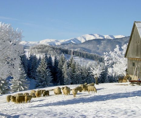 ROMÂNIA a fost inclusă pe lista destinațiilor turistice ce TREBUIE VĂZUTE în 2015