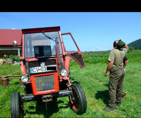 ROMÂNIA doboară un RECORD de 20 de ani. Află despre ce EXPORTURI este vorba