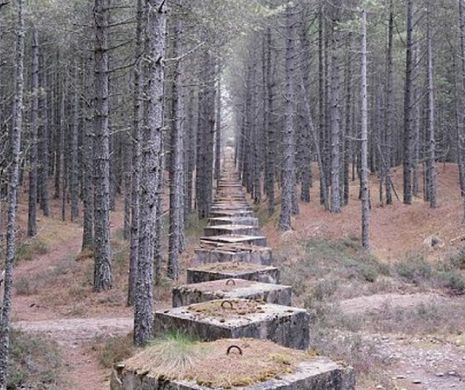 ULTIMA BARICADĂ. Ruinele fortificaţiilor de coastă în cel de-al doilea Război Mondial, o rană vie pe care natura pune stăpânire | GALERIE FOTO