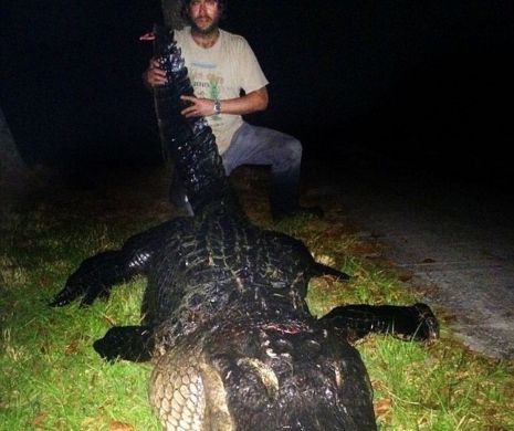 Un reflex? Comportamentul surprinzător al CROCODILULUI după ce a mâncat
