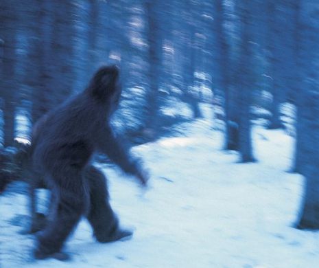 ADEVĂRUL despre OMUL ZĂPEZILOR. Cine a fost de fapt YETI?
