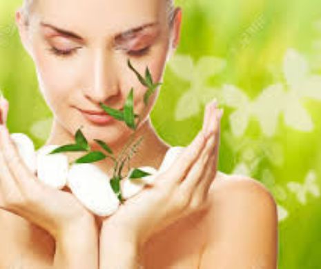 Ce ar trebui să ştii DESPRE MENTĂ