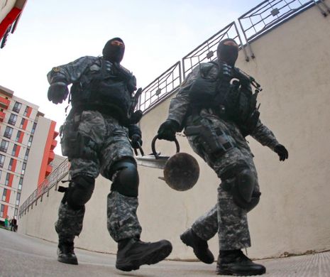 Cea mai mare rețea de CONTRABANDĂ între Emiratele Arabe - România și Anglia, pusă pe butuci. Cum au vrut să-și dea țeapă interlopii între ei
