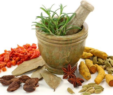 Cele mai PUTERNICE antibiotice NATURALE. Le poți lua fără rețetă.