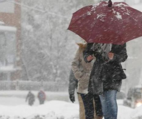 COD GALBEN de polei și ceață