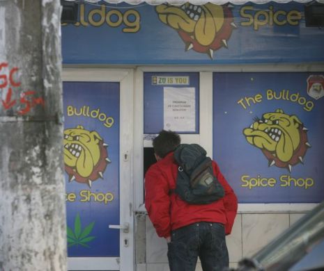 CONSUM ÎNGRIJORĂTOR DE ETNOBOTANICE la Galați și Cluj. Șeful Agențieie Naționale Antidrog: Toate autoritățile au fost anunțate să ia măsuri!