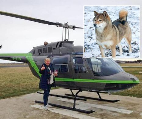 Cu ELICOPTERUL în căutarea câinelui pierdut. Ce a făcut o femeie care şi-a rătăcit animalul de companie întrece orice imaginaţie | GALERIE FOTO
