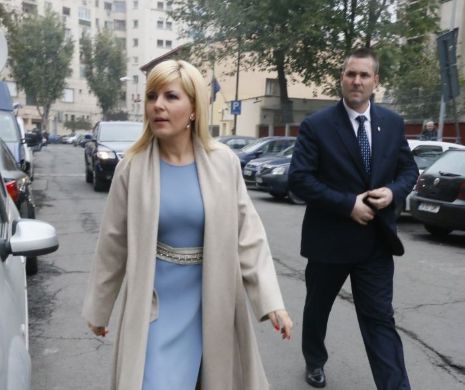 Elena Udrea: Din dosarul Microsoft au rămas doar doi vinovați - Dorin Cocoș și Gheorghe Ștefan