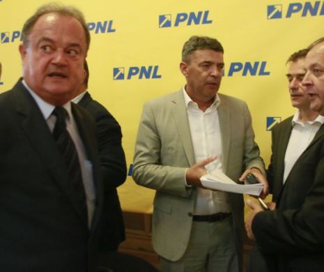 Liberalii se reunesc mâine la Parlament. VEZI ce decizii vor lua