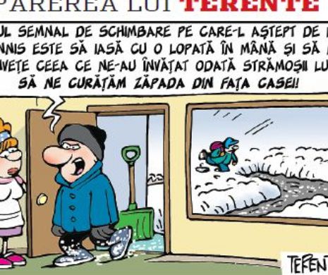 Parerea lui Terente 05.01.2015