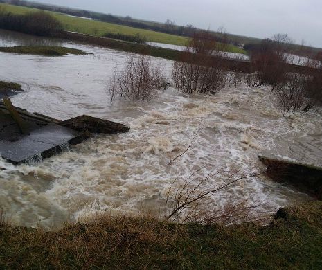 PERICOL de INUNDAȚII în Timiș. Un baraj s-a rupt în două, iar apa inundă terenurile agricole I GALERIE FOTO