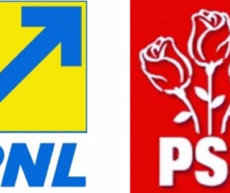 Raport Expert Forum: Peste 5.000 de aleşi au migrat după OUG 55. PSD - marele câştigător, PNL şi PDL - marii perdanţi