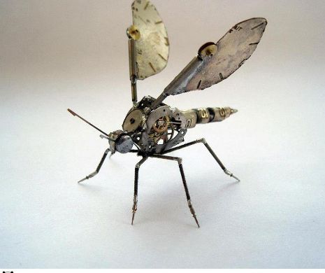 Sunt aproape umane? Adevărul despre LIBELULE | VIDEO