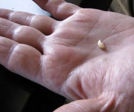 SUPER-MEDICAMENTUL care va schimba lumea. După 30 de ani cercetătorii au făcut o descoperire EXTRAORDINARĂ