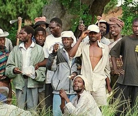 Vor reuşi studenții din Târgu Mureș să doboare Zimbabwe?