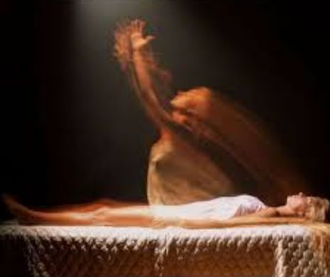 Aici s-a autorizat eutanasierea