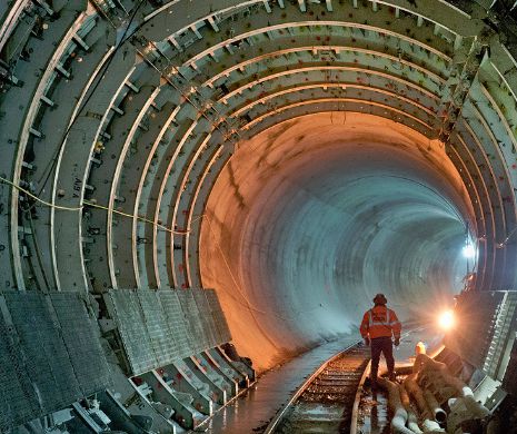 Au fost găsite, iar oamenii de știință sunt speriați: Sutele DE SPECII din metrou