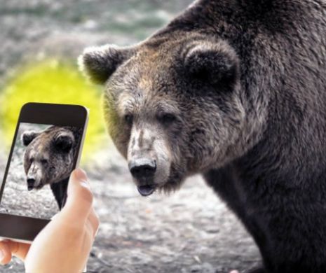 Ce s-a întâmplat după ce cetăţeanul Dmitri Volodin și-a făcut SELFIE CU URSUL
