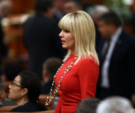 Cererea DNA privind arestarea Elenei Udrea, discutată la ora 12.00 în Biroul permanent al Camerei Deputaţilor