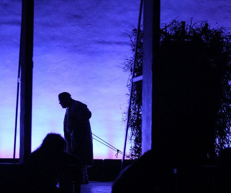 De trei ori Silviu Purcărete săptămâna aceasta la Teatrul Național „Radu Stanca” Sibiu