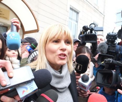 Dosarul „Gala Bute”, în Parlament. Udrea și Ariton, la mâna adversarilor din PSD și PNL