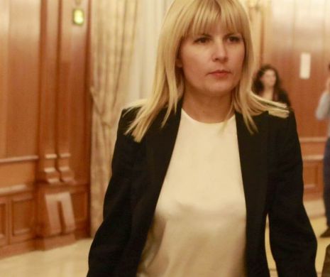 Elena Udrea: Noua cerere formulată de DNA pentru arestarea preventivă reprezintă un exces