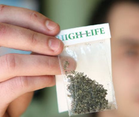 Etnobotanicele fac din nou victime