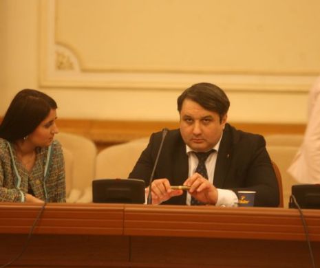 Încă două solicitări ale DNA în cazul Udrea, aprobate de Comisia Juridică