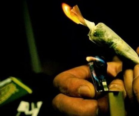 La Washimgton s-a legalizat consumul de canabis