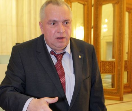 Nicușor Constantinescu, între celulă și vilă