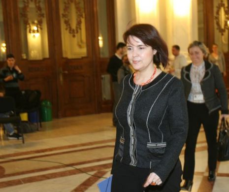 PSD a învins PNL la vot în Senat. Maya Teodoroiu, noul judecător CCR