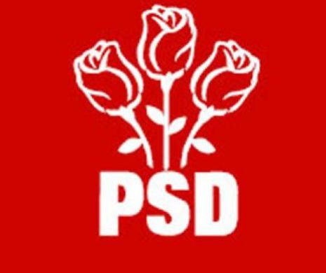 SURSE: Marian Neacşu şi Marcel Ciolacu, şefi interimari la PSD Ialomiţa, respectiv Buzău