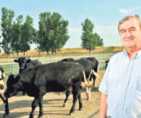 SURSE: Percheziţii DNA în Călăraşi şi Ialomiţa, este  vizat este omul de afaceri Ştefan Poienaru