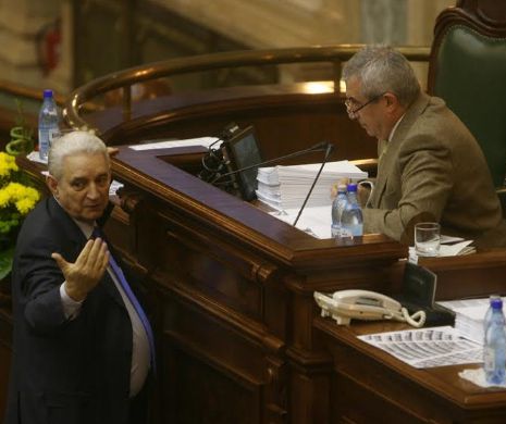 TESTUL MAJORITĂȚII. Senatorii VOTEAZĂ înlocuitorul lui Toni Greblă