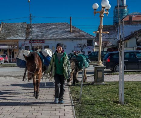 Turista franceză care a priponit măgarul și catârul în fața primăriei din Sânnicolau Mare