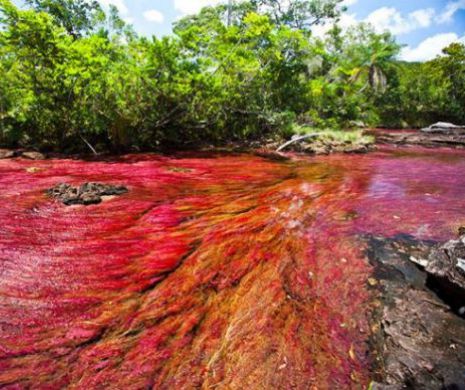 Vrei să vezi Paradisul? Este greu de crezut că în sânul omenirii se ascunde o asemenea MINUNĂŢIE | GALERIE FOTO