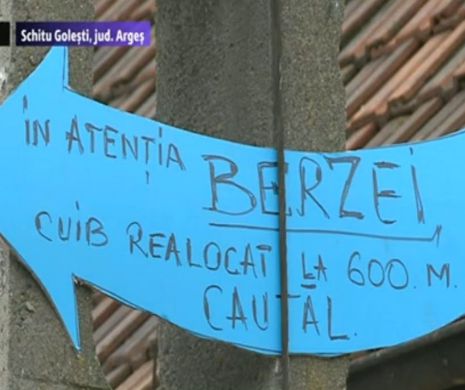 Barza mutată prin ordin de ministru s-a întors ”acasă”. Localnicii i-au pus indicator pentru a ajuta pasărea