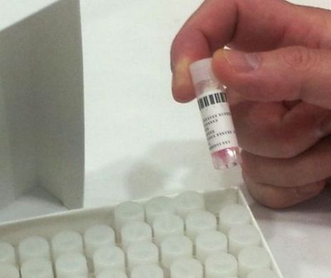 Ce distruge bacteria Helicobacter pylori
