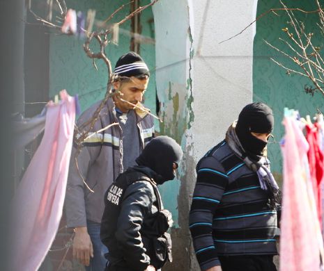 Cea mai mare REȚEA de contrabandă cu ȚIGĂRI DIN UCRAINA, destructurată. Au loc peste 40 de PERCHEZIȚII în 5 județe